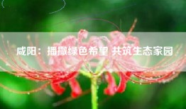 咸阳：播撒绿色希望 共筑生态家园