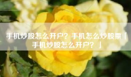 手机炒股怎么开户？手机怎么炒股票「手机炒股怎么开户？」