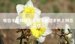 电信手机网络怎么样（电信手机上网怎么样）