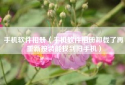 手机软件相册（手机软件相册卸载了再重新按装能找到旧手机）