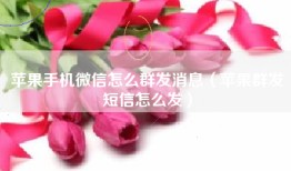 苹果手机微信怎么群发消息（苹果群发短信怎么发）