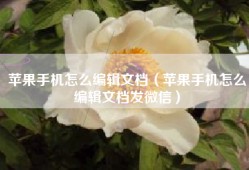 苹果手机怎么编辑文档（苹果手机怎么编辑文档发微信）