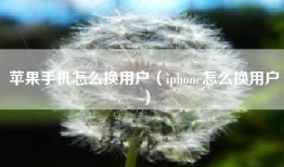 苹果手机怎么换用户（iphone怎么换用户）