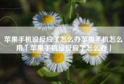 苹果手机没反应了怎么办苹果手机怎么用「苹果手机没反应了怎么办」