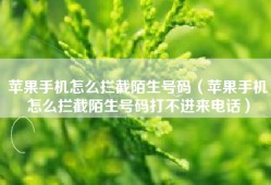 苹果手机怎么拦截陌生号码（苹果手机怎么拦截陌生号码打不进来电话）