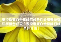 泰拉瑞亚白金星舰召唤条件介绍泰拉瑞亚手机合成表「泰拉瑞亚白金星舰召唤条件介绍」