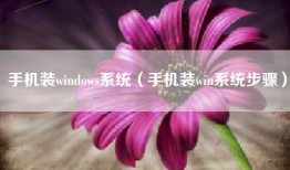 手机装windows系统（手机装win系统步骤）