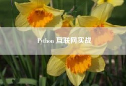 Python 互联网实战