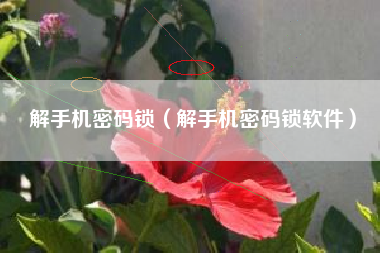 解手机密码锁（解手机密码锁软件）