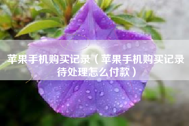 苹果手机购买记录（苹果手机购买记录待处理怎么付款）