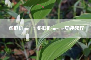 虚拟机 ios 13 虚拟机vmware安装教程